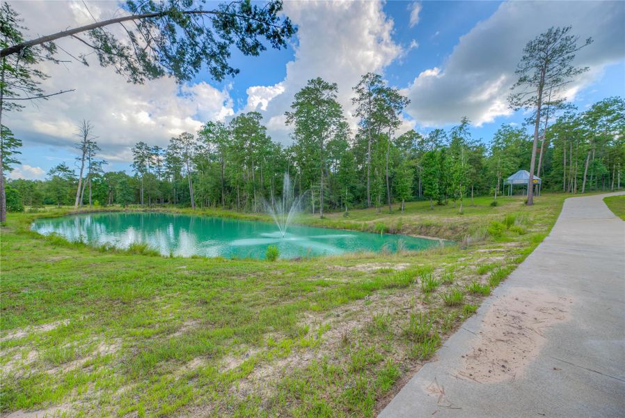 The pond on the left as you come up the driveway to the property The pond on the left as you come up the driveway to the property