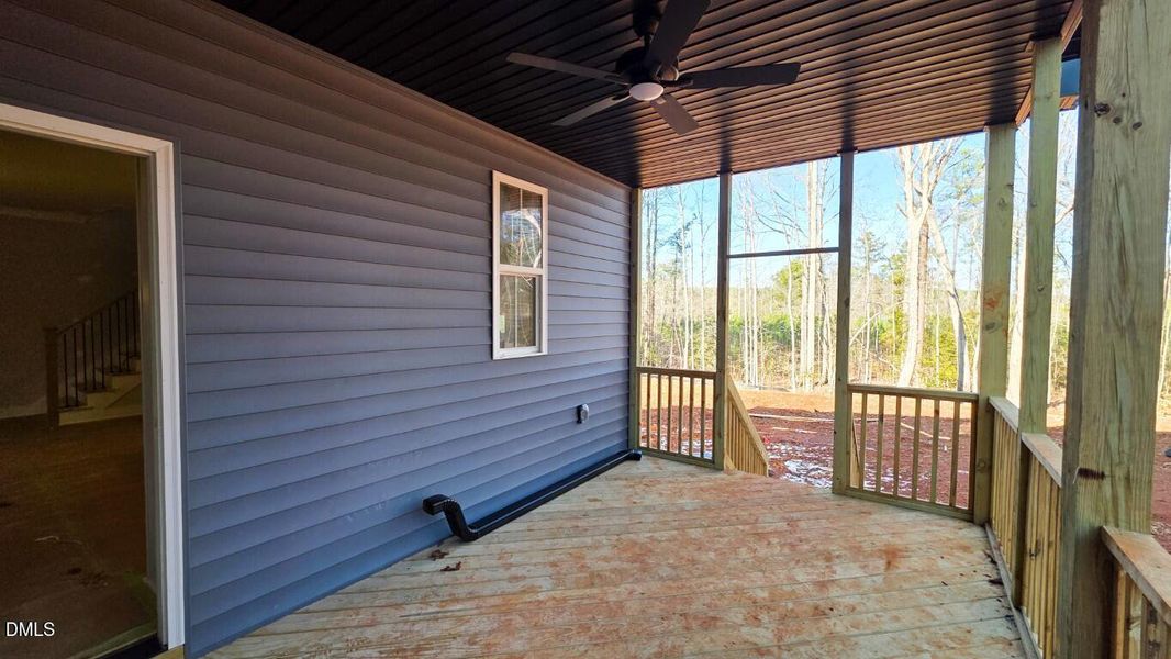 212 Rawhide (14) (Medium)