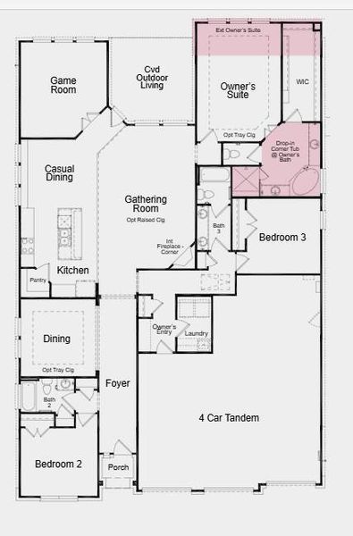 Structural options added include: extended primary suite and walk in closet.