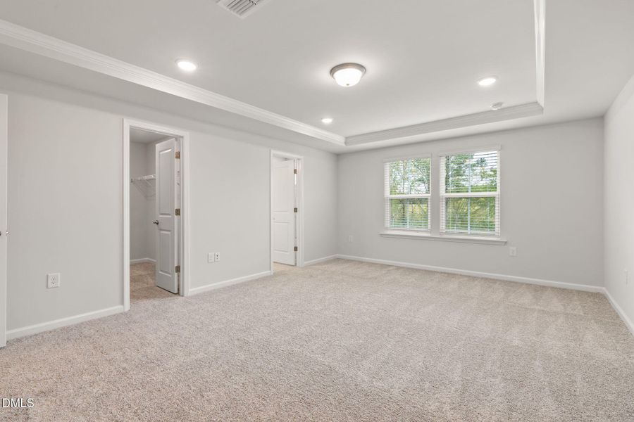 PRO HAMPTON LOT #77 PIC (23)