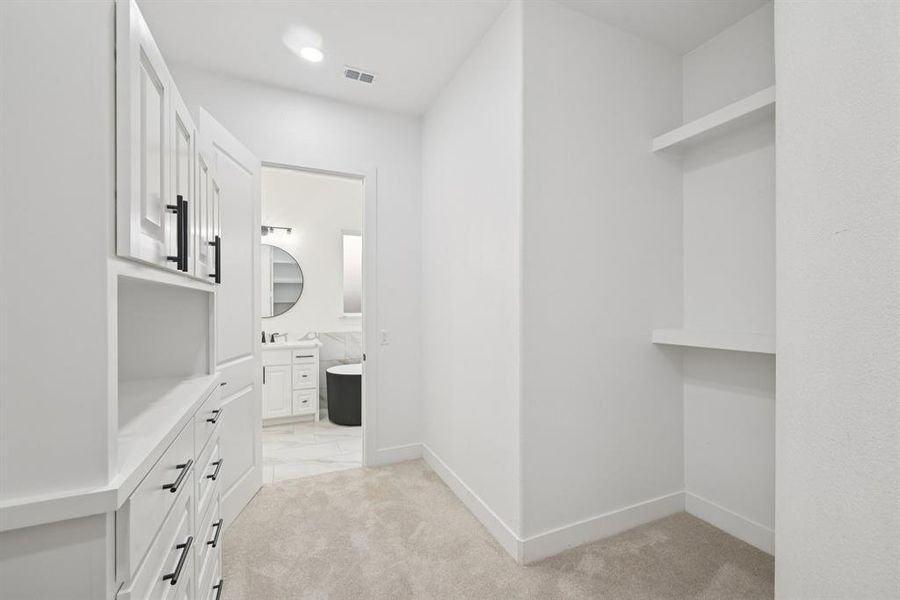 Spacious closet featuring light colored carpet