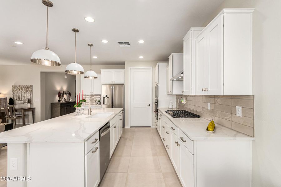 14-Cactus Wren 14-Cactus Wren