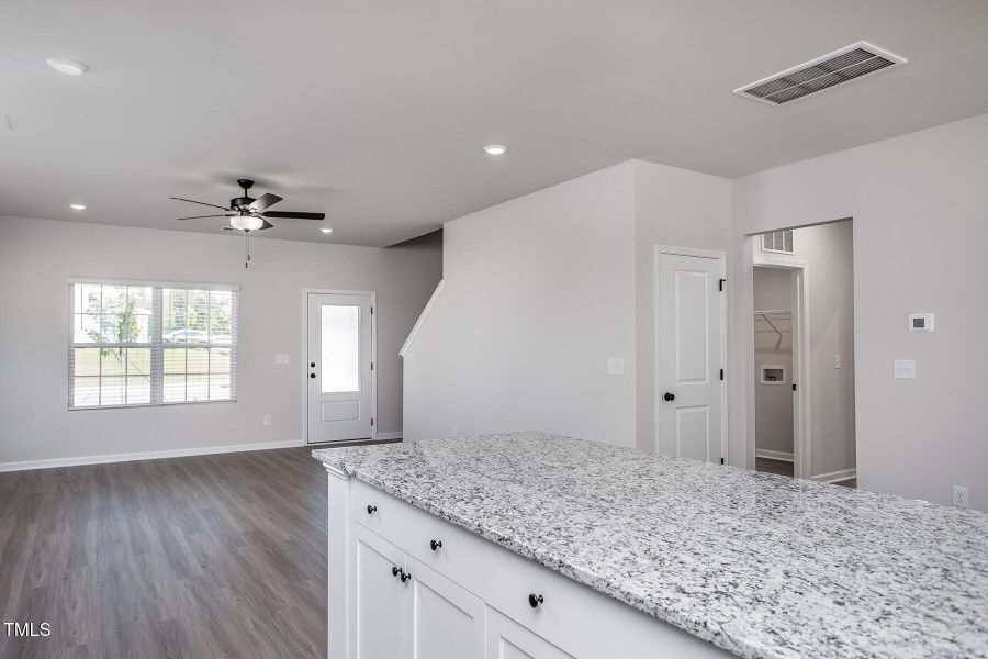 Southeast_Birch_L_010