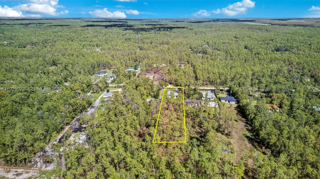 Natural landscape and outdoor views near  in Naples (Image 26).