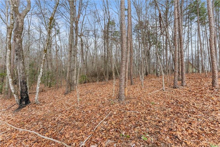 Natural landscape and outdoor views near  in Clarkesville (Image 42).