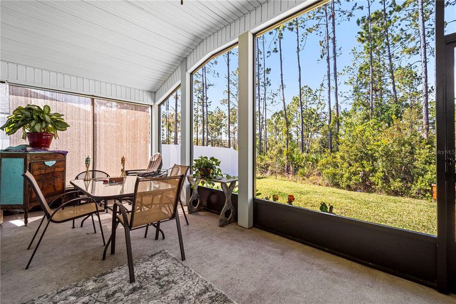Exterior details and patio area of a home in Sawmill Branch, Palm Coast (Image 22).