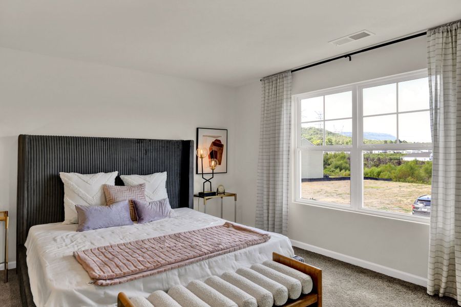 Representative furnished interior of a home built from the Darwin by D.R. Horton in Clearwater Springs, Johnson City (Image 19).