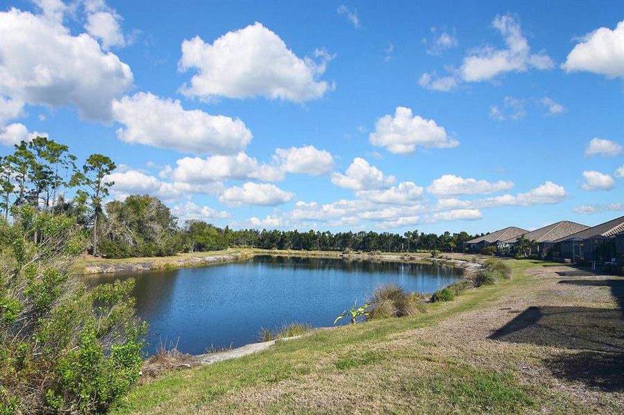 Natural landscape and outdoor views near  in Englewood (Image 55).