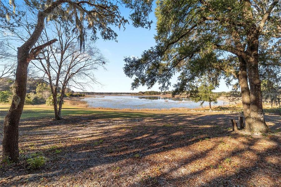 Natural landscape and outdoor views near  in Belleview (Image 82).