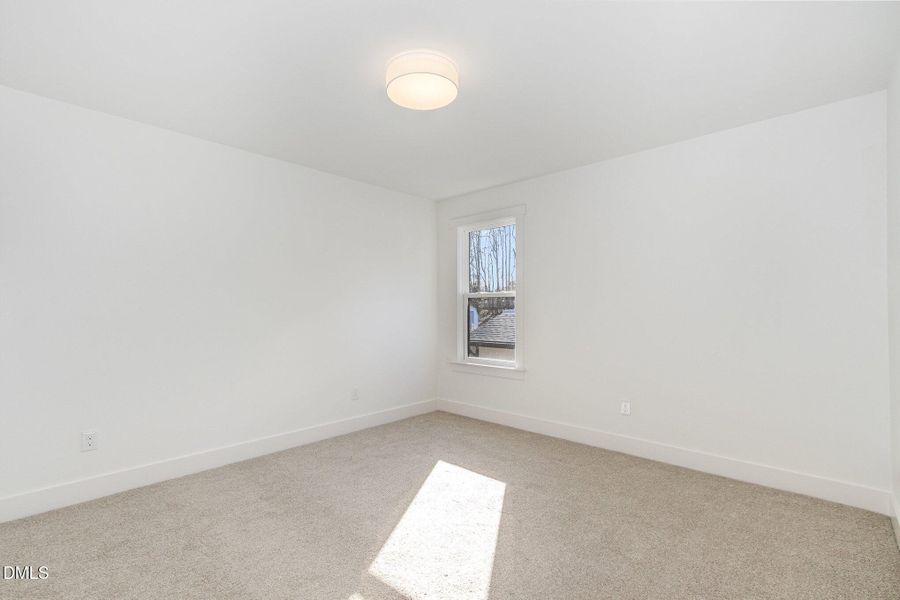 024_img_3454-edit_897