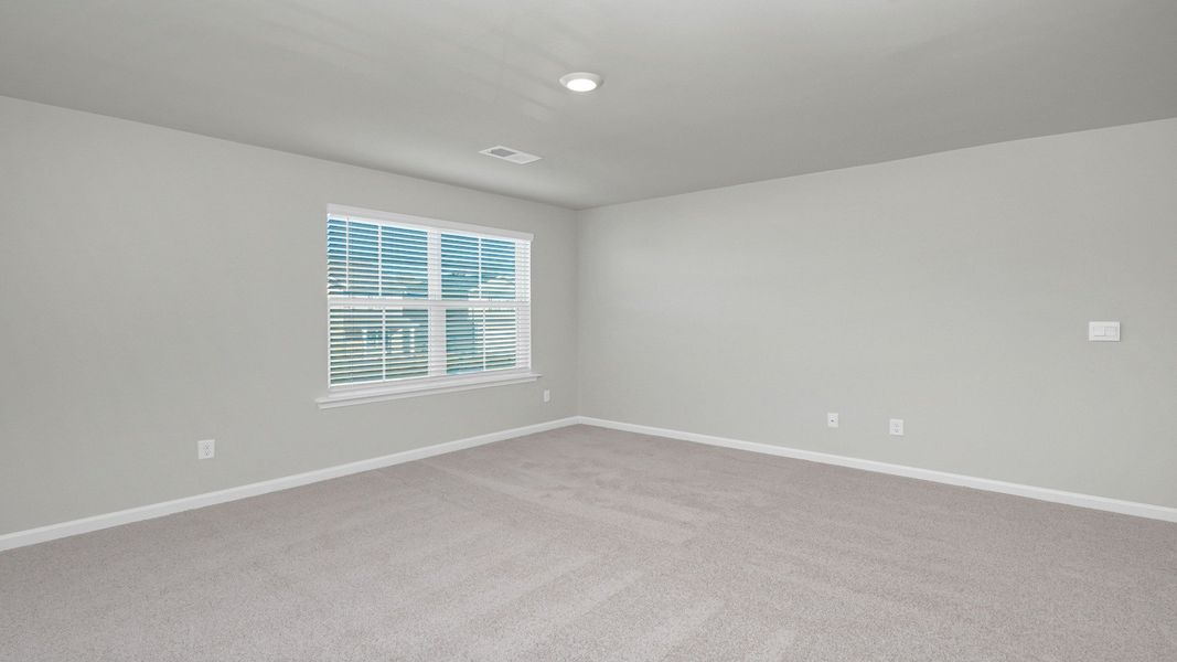 Spacious, unfurnished interior of a new home in Hunter's Branch, Hopkins (Image 31).