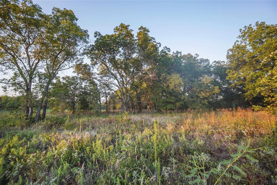 Natural landscape and outdoor views near in Perrin (Image 26). Natural landscape and outdoor views near in Perrin (Image 26).