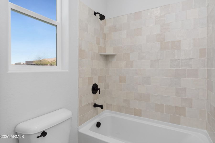 28628 Tame-29 28628 Tame-29