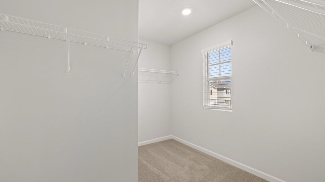 Spacious, unfurnished interior of a new home in The Islands, Beech Island (Image 34). Spacious, unfurnished interior of a new home in The Islands, Beech Island (Image 34).