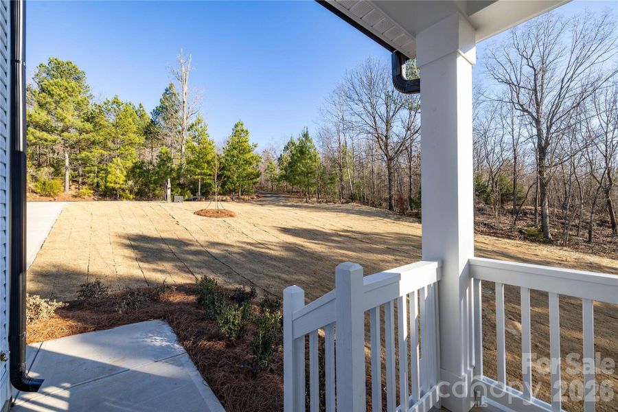 Exterior details and patio area of a home in Grandview, Albemarle (Image 3).