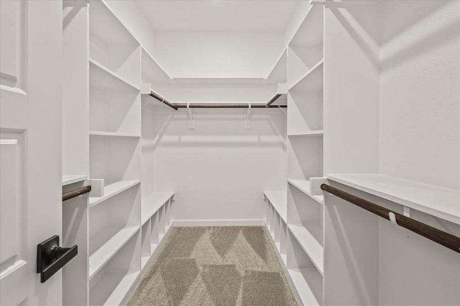 Walk in closet with light colored carpet