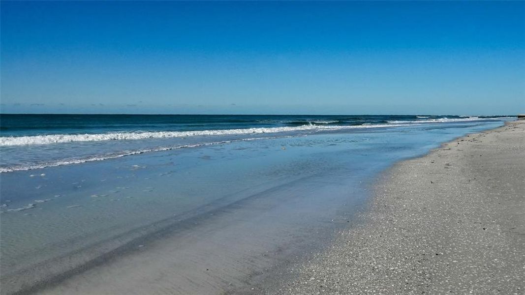 Natural landscape and outdoor views near  in Longboat Key (Image 60).