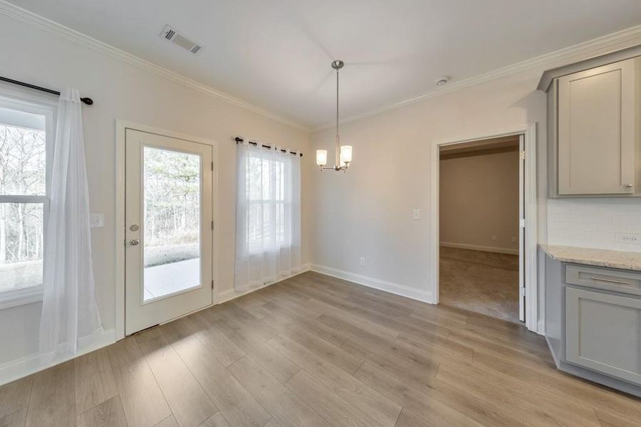 Spacious, unfurnished interior of a new home in , Dawsonville (Image 38).