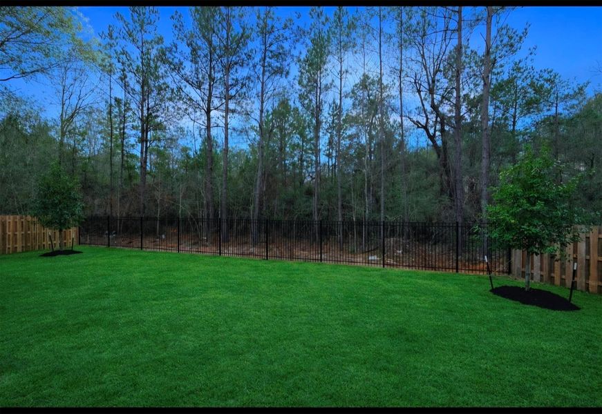 Imagine enjoying this view of beautiful trees. Imagine enjoying this view of beautiful trees.