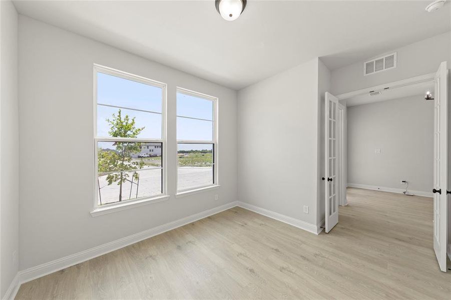 05. 9721 Dahlia - Study