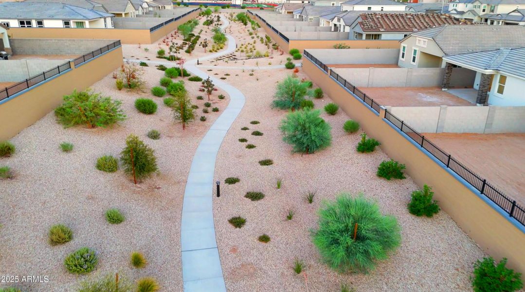 Zanjero Community Photos_7_edited Zanjero Community Photos_7_edited