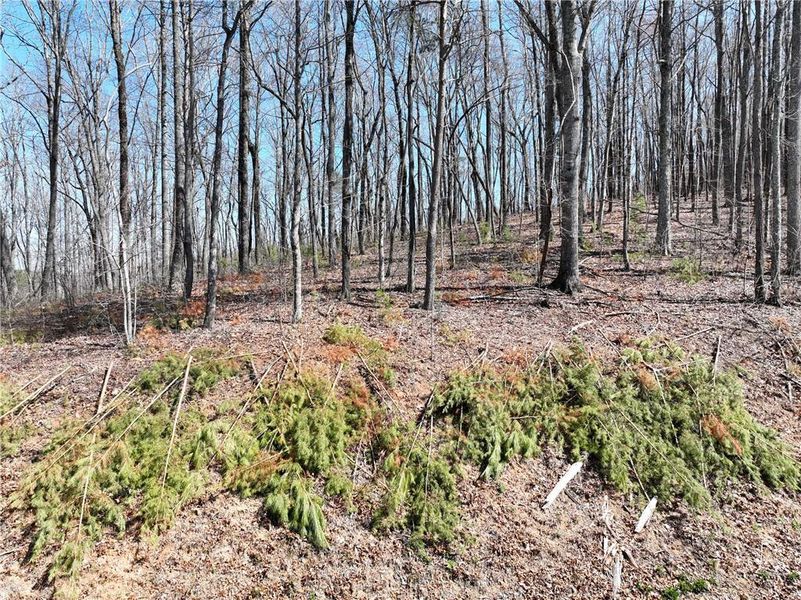 Image 30 of a home in . Image 30 of a home in .