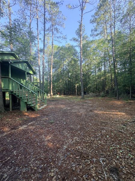 Natural landscape and outdoor views near in Silsbee (Image 11). Natural landscape and outdoor views near in Silsbee (Image 11).