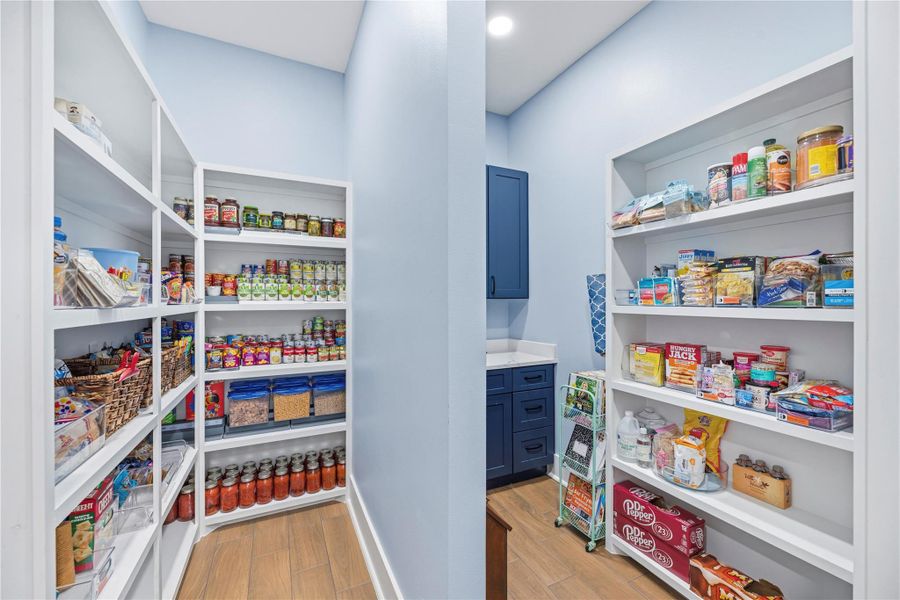 Exceptional walk-in pantry with extensive custom shelving and dedicated prep space, blending everyday functionality with luxury organization.