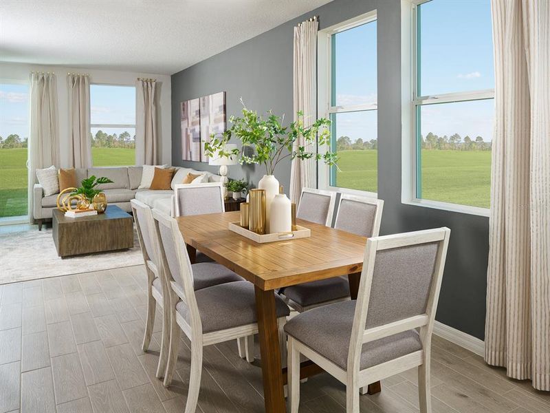 Furnished interior view inside a new home in Coasterra - Premier Series, Palmetto (Image 2).