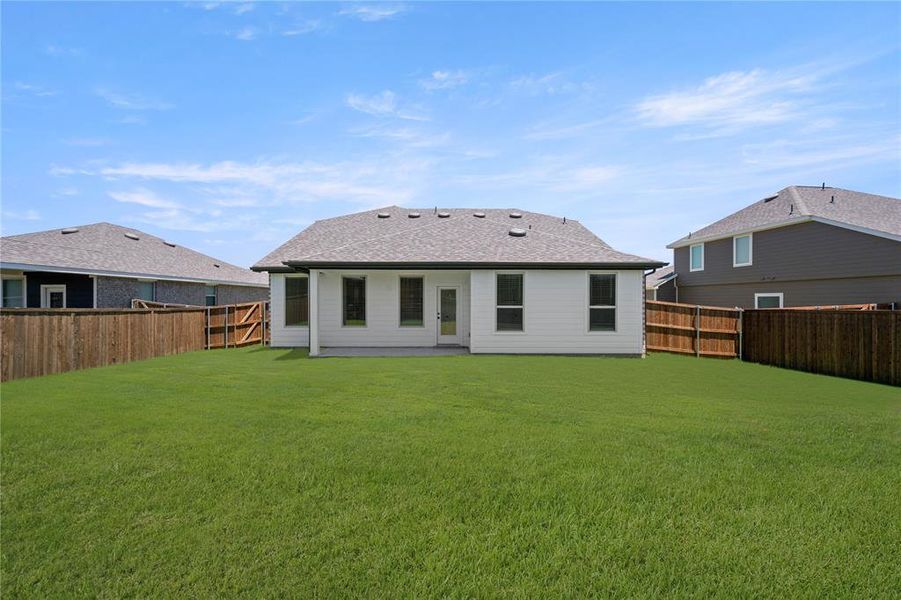 116 Honey Bee- Back-2