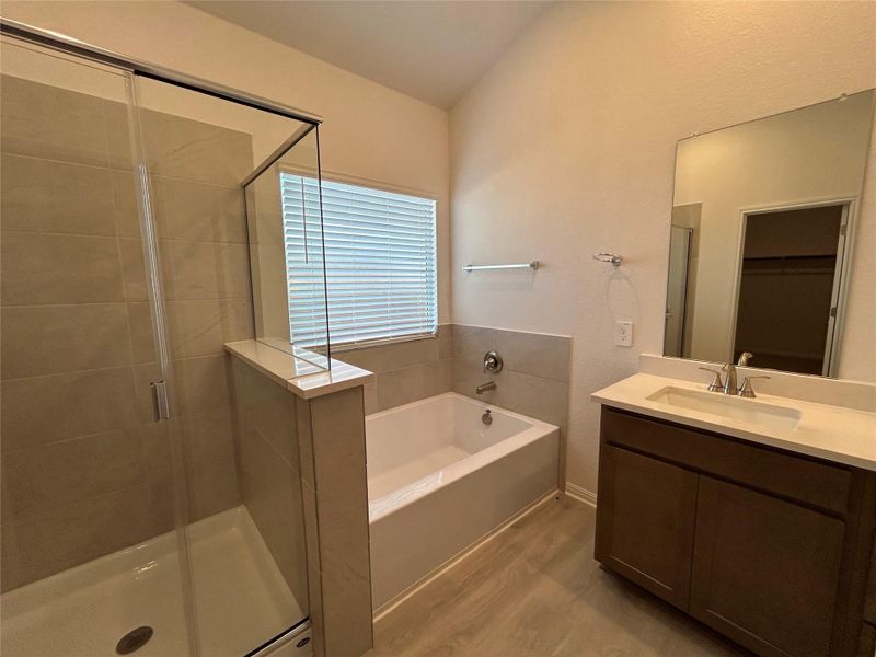 Full bathroom featuring a shower stall, a garden tub, light wood-style flooring, vanity, and a walk in closet Full bathroom featuring a shower stall, a garden tub, light wood-style flooring, vanity, and a walk in closet