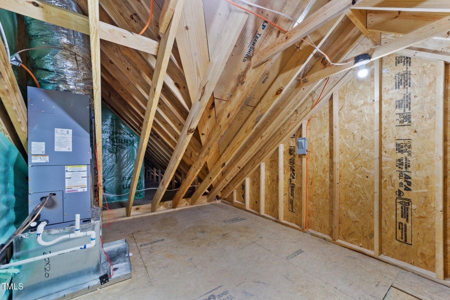 43-web-or-mls-IMG_1112