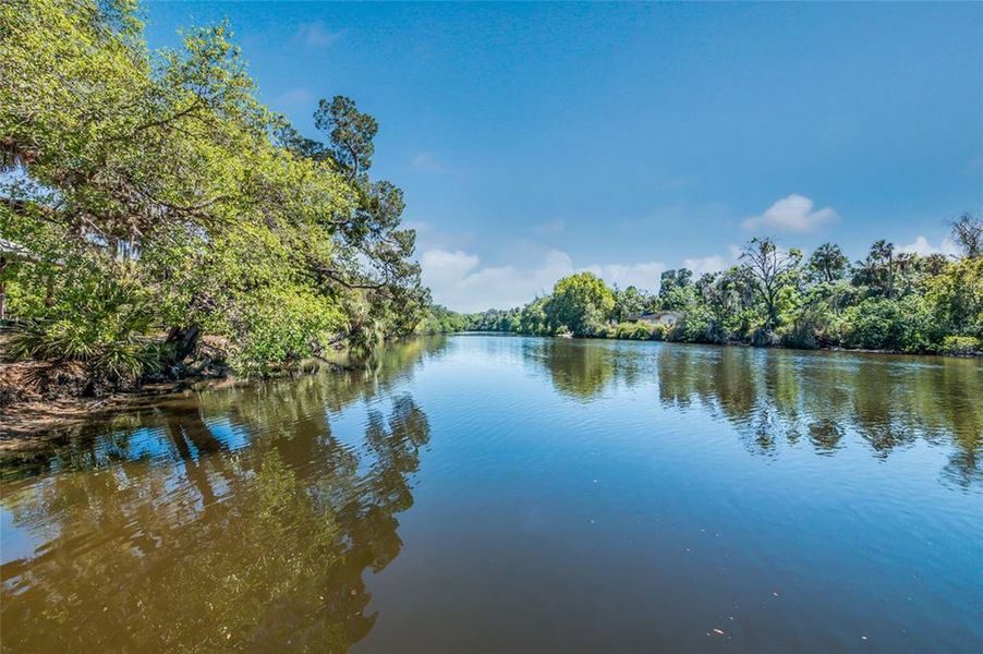 Natural landscape and outdoor views near Creeks Edge at Twin Rivers in Parrish (Image 55).