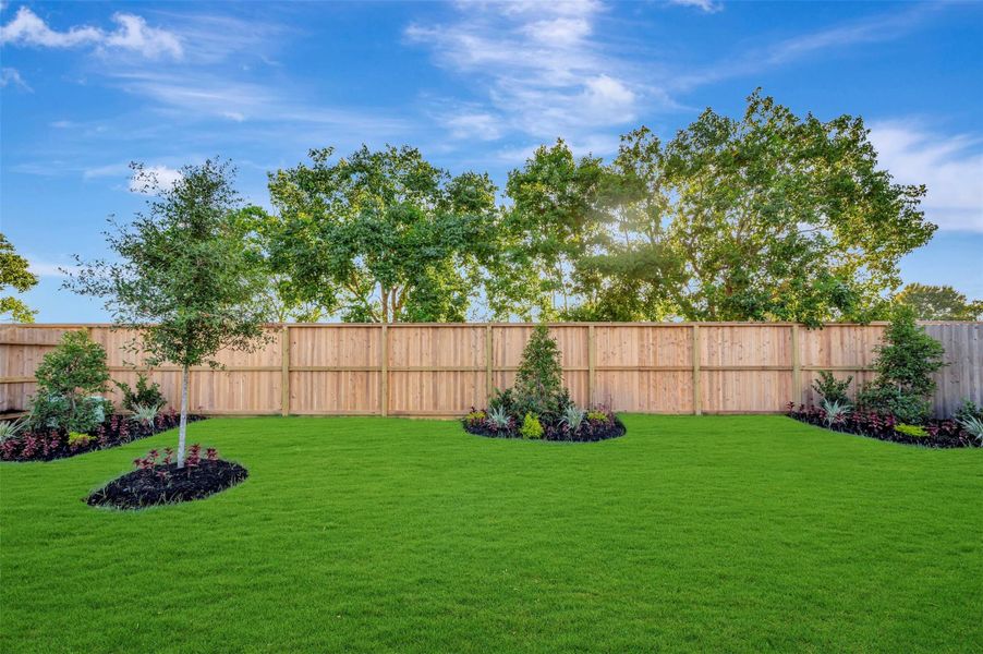 Lush landscaping in the backyard! Lush landscaping in the backyard!