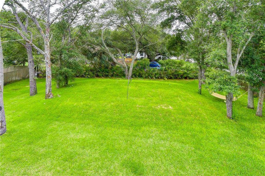 Natural landscape and outdoor views near  in Tampa (Image 48).