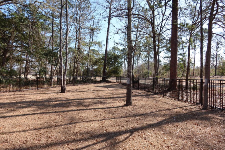 Natural landscape and outdoor views near  in Santee (Image 35).