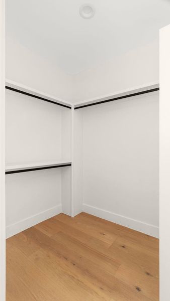 Spacious closet featuring light wood finished floors