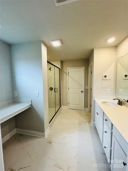 Large primary bath with tiled shower