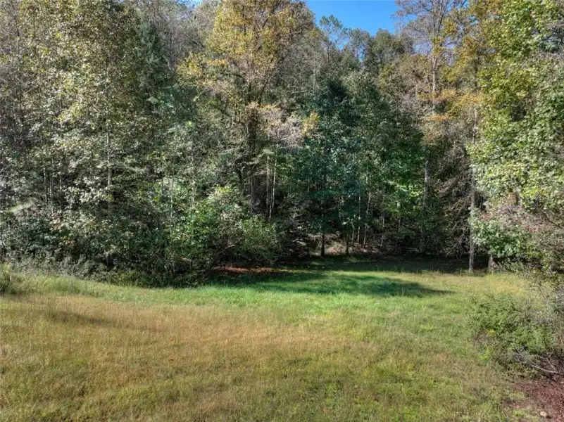 Natural landscape and outdoor views near  in Ellijay (Image 47).