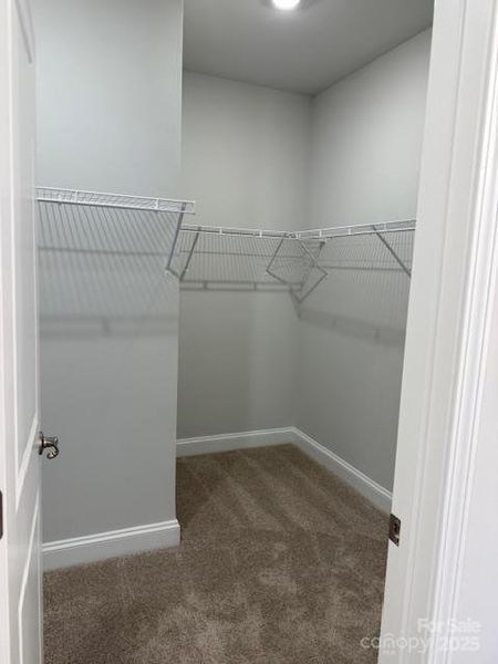 Huge Walk in Closet Huge Walk in Closet
