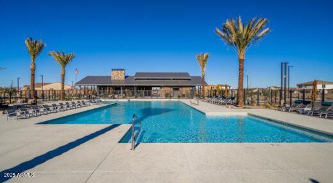 Paradisi Discovery - Community