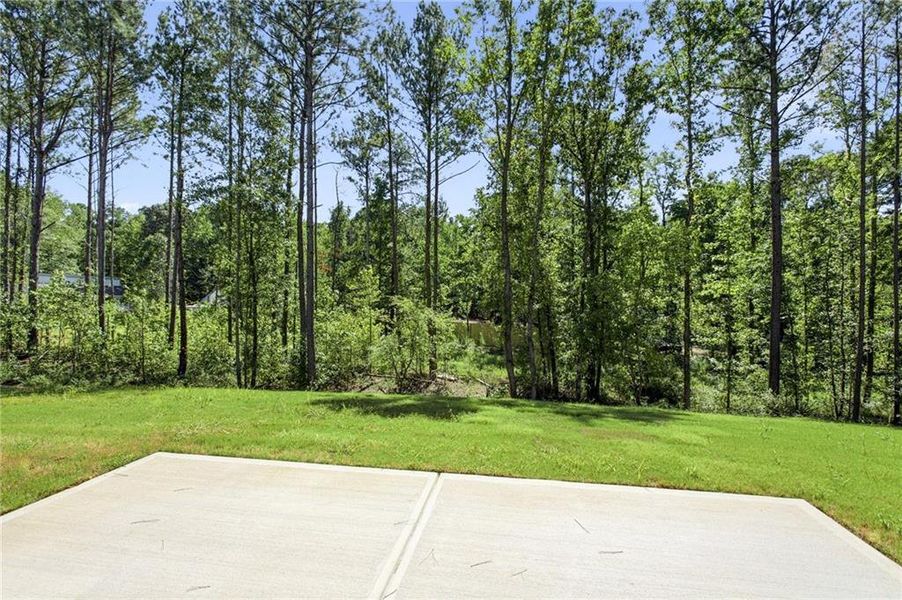 Natural landscape and outdoor views near  in Ellenwood (Image 24).