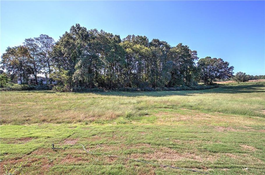 Natural landscape and outdoor views near  in Taylorsville (Image 37).