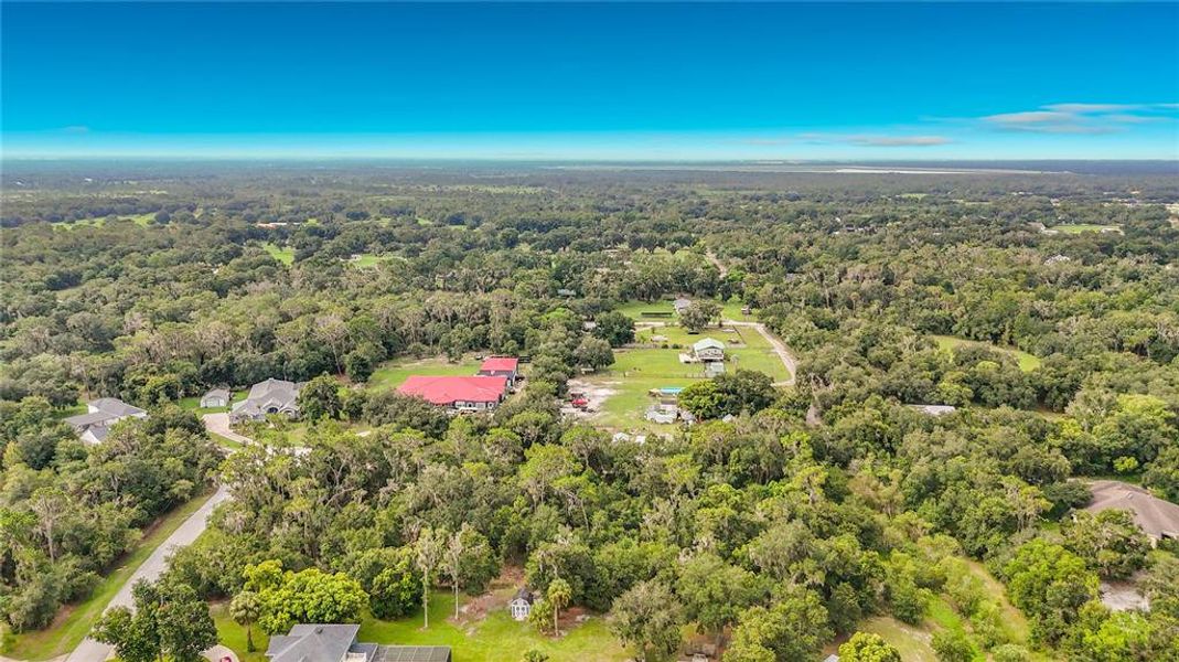 Natural landscape and outdoor views near  in Lithia (Image 31).