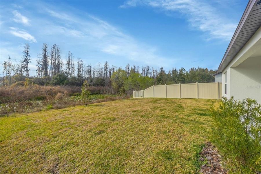 Exterior details and patio area of a home in , Zephyrhills (Image 24).