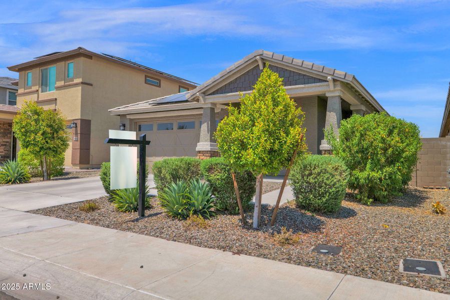 3-web-or-mls-P1279913 3-web-or-mls-P1279913