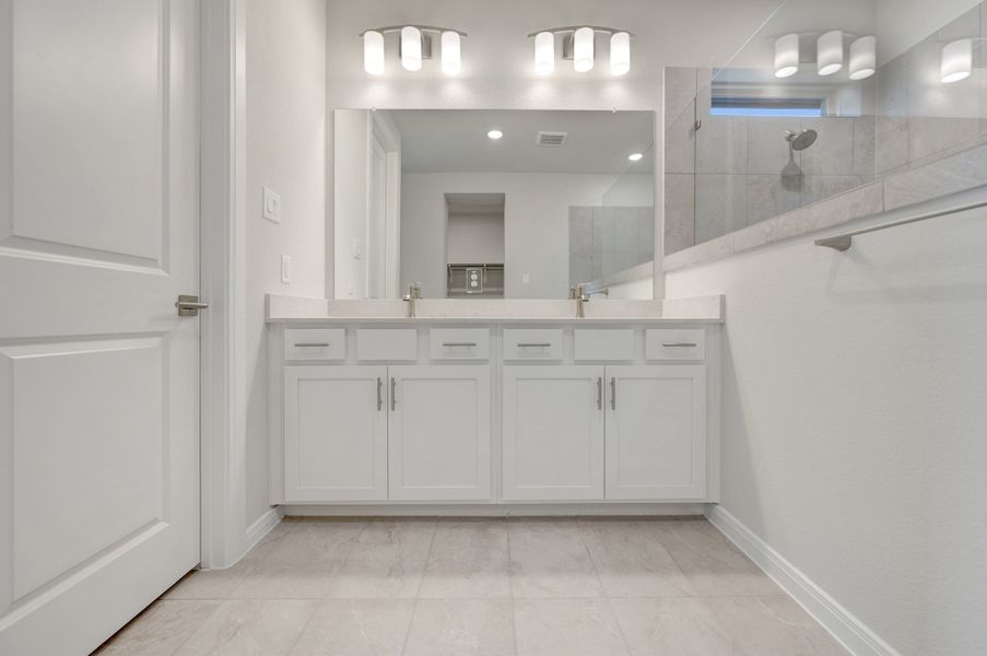 Owner's Bath