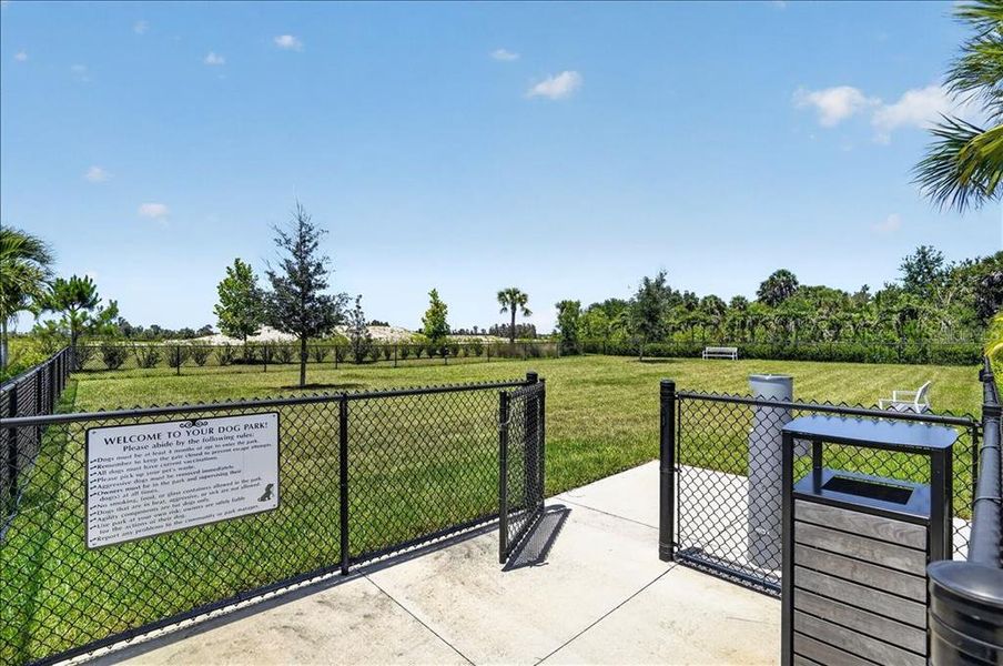 Community amenities in , Venice (Image 51). Community amenities in , Venice (Image 51).