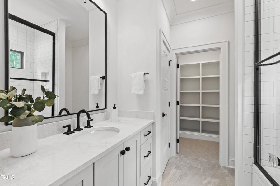 Tanbark (65) Tanbark (65)