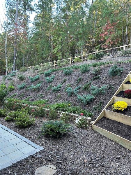 Natural landscape and outdoor views near  in Rutherfordton (Image 26).